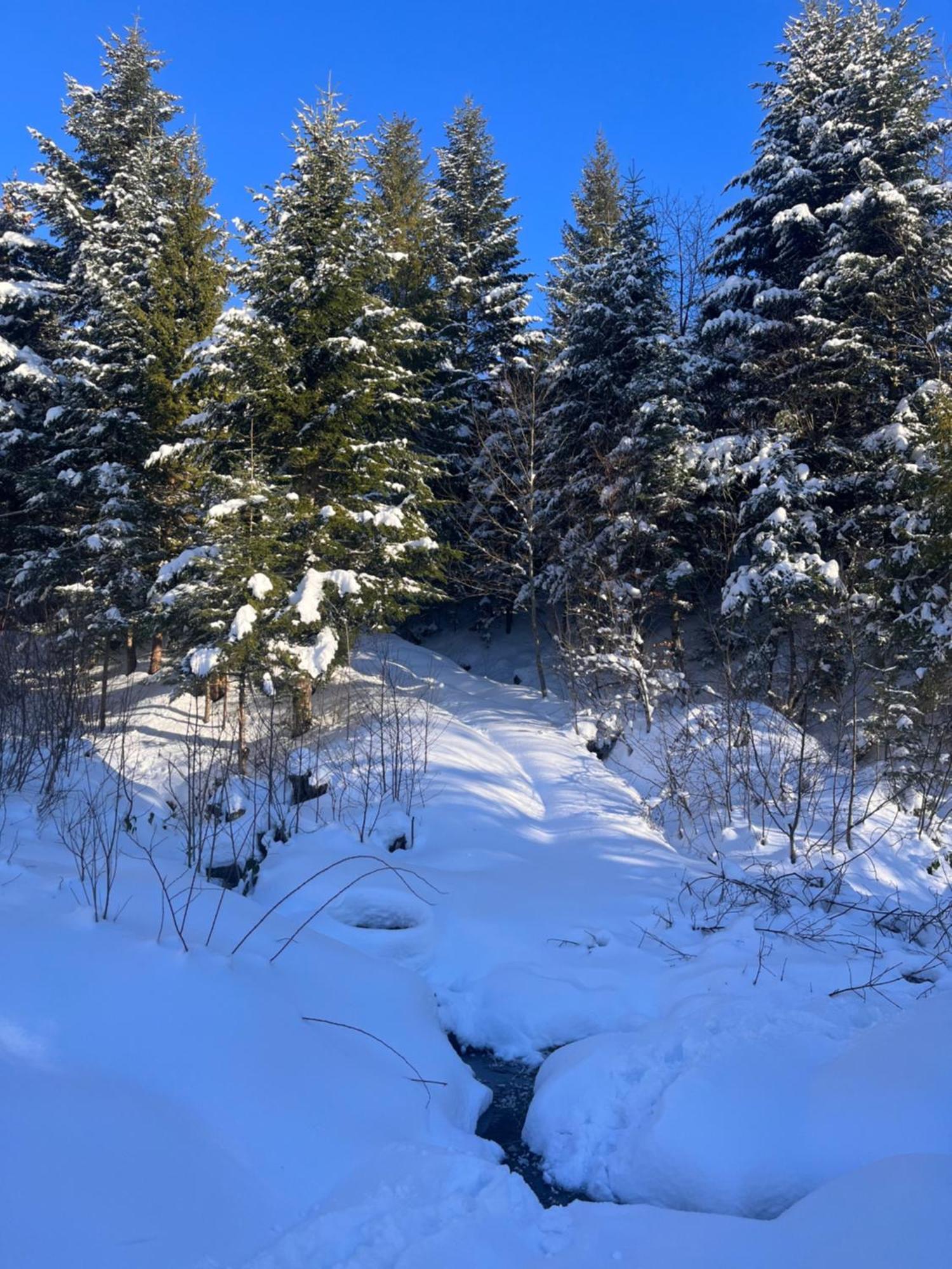 Belvedere-Karpaty-Panorama Skhidnytsia Ngoại thất bức ảnh